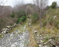 Monte Becco, Bado, Croce di Fo